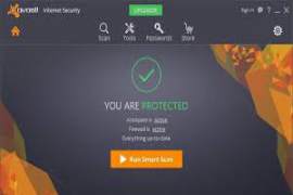 Avast Pro Antivirus Internet Security Premier